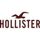 Hollister Co. logo
